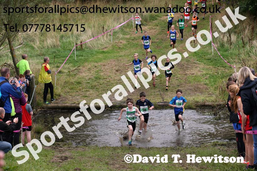 Boys under-11s, Start Fitness North Eastern Harrier League, Tanfield, County Durham. Photo: David T. Hewitson/Sports for All Pics